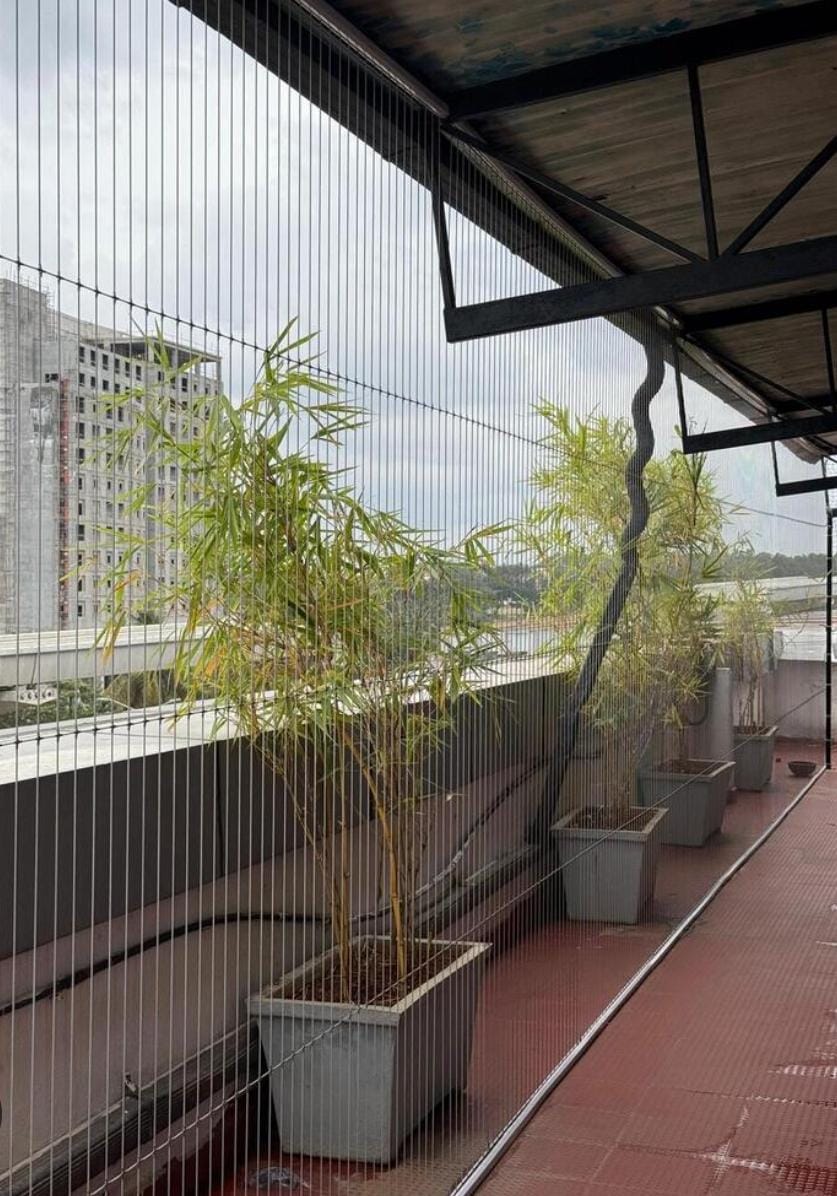 Vertical cable invisible grills on a Chennai apartment balcony
